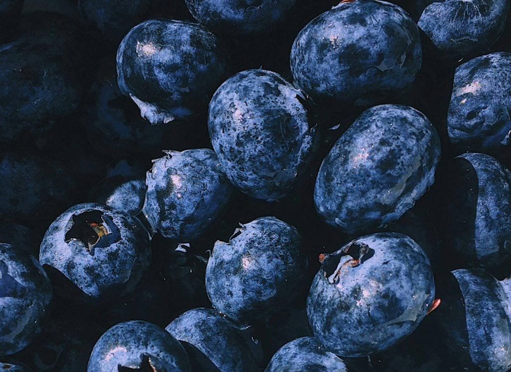 Can dogs eat blueberries?